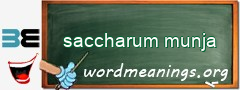 WordMeaning blackboard for saccharum munja